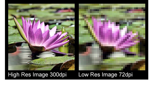 Comparison of High Resolution Photo versus Low Resolution Photo